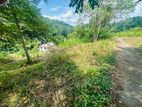 Lands for Sale in Maadana Rambukkana