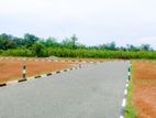 Lands for Sale in Madurawala