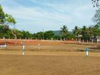 Lands for Sale in Maradanakadawala