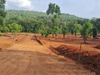 Lands for sale In Matale