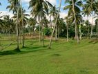 Lands for sale in Matara