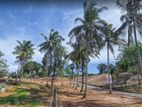 Lands for Sale in Matara