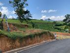 Lands for sale in Meepilimana