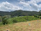 Lands for sale in Meepilimana
