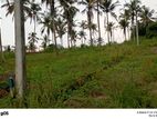 Lands for Sale in Mihirigama - Near Highway Entrance