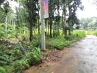 Lands for Sale in Nelumdeniya