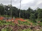 Lands For Sale In Nelumdeniya