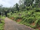 Lands for sale in Nelumdeniya