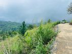 Lands for Sale in Nillamba