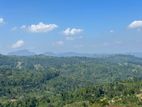 Lands for sale in Nillamba