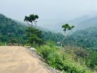 Lands for sale in Nillamba