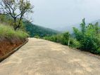 Lands for Sale in Nillamba