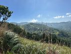 Lands for Sale in Nillamba