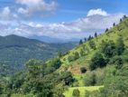 Lands for sale in Nillamba....