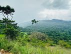 Lands for sale in NIllamba