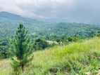 Lands For Sale In Nillamba