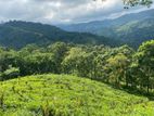 Lands for sale in Nillamba