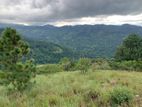 Lands for sale in Nillamba -Kandy