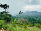Lands for sale in Nillmba