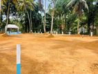 Lands for sale in Nittambuwa- M82