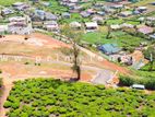 Lands For Sale In Nuwaraeliya With Beautiful Mountain View