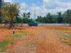 Lands For Sale in Panadura