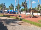 lands for sale in panadura walana T01