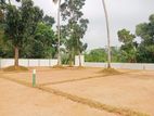 Lands for Sale in Pannipitiya Palanwaththa