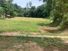 Lands for Sale in Pethiyagoda Gelioya