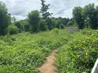 Lands for Sale in Pilimathalawa