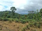 Lands for Sale in Pilimathalawa
