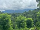 Lands for Sale in Pilimathalawa