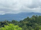 Lands for sale in pilimathalawa