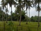 Lands for sale in Polgahawela