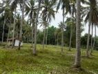 Lands for sale in Polgahawela