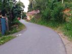 Lands for sale in Pujapitiya Kaluwana rd, Ambathanna