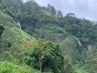 Lands for sale in Pundaluoya