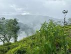 Lands for sale in Pundaluoya