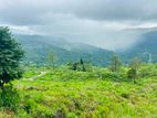 Lands for sale in Pundaluoya