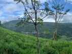 Lands for sale in Pundaluoya