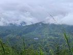 Lands for Sale in Pundaluoya