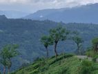 Lands for sale in Pundaluoya