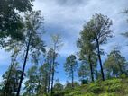 Lands for sale in Pusllawa