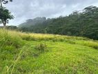 Lands for sale in Pussellawa