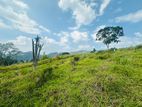 Lands for sale in Pussellawa