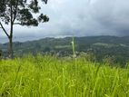 Lands for sale in Pussellawa