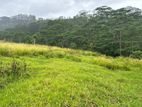 Lands for sale in Pussellawa