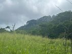 Lands for Sale in Pussellawa