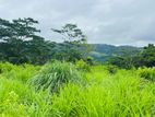 Lands for sale in Pussellawa...