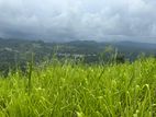 Lands for sale in Pussellawa